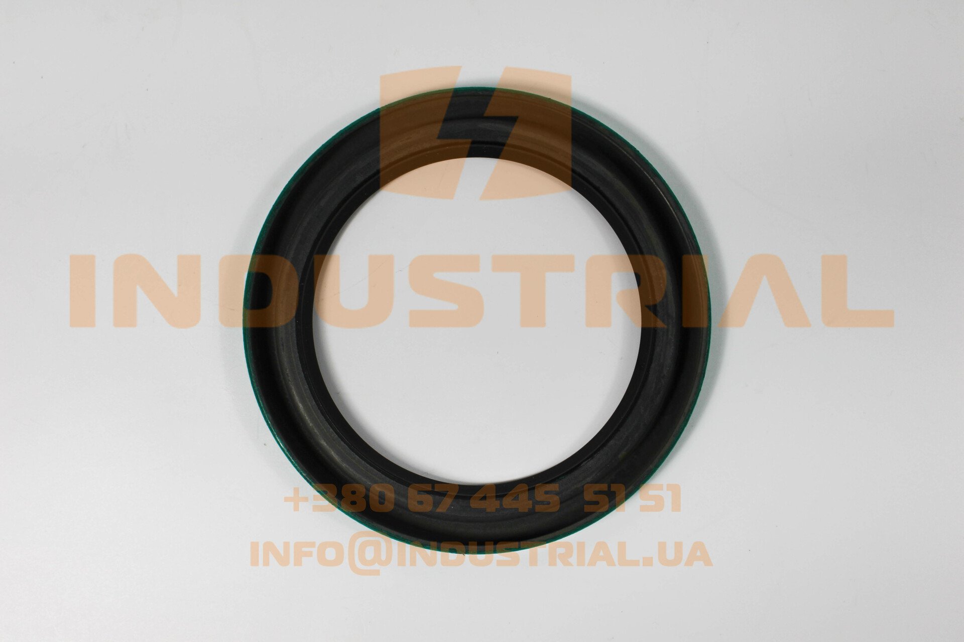 CHG 5231836 CHICAGO RAWHIDE SKF